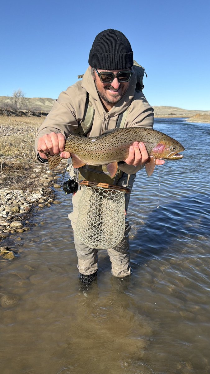 Bryson Webster tweet media