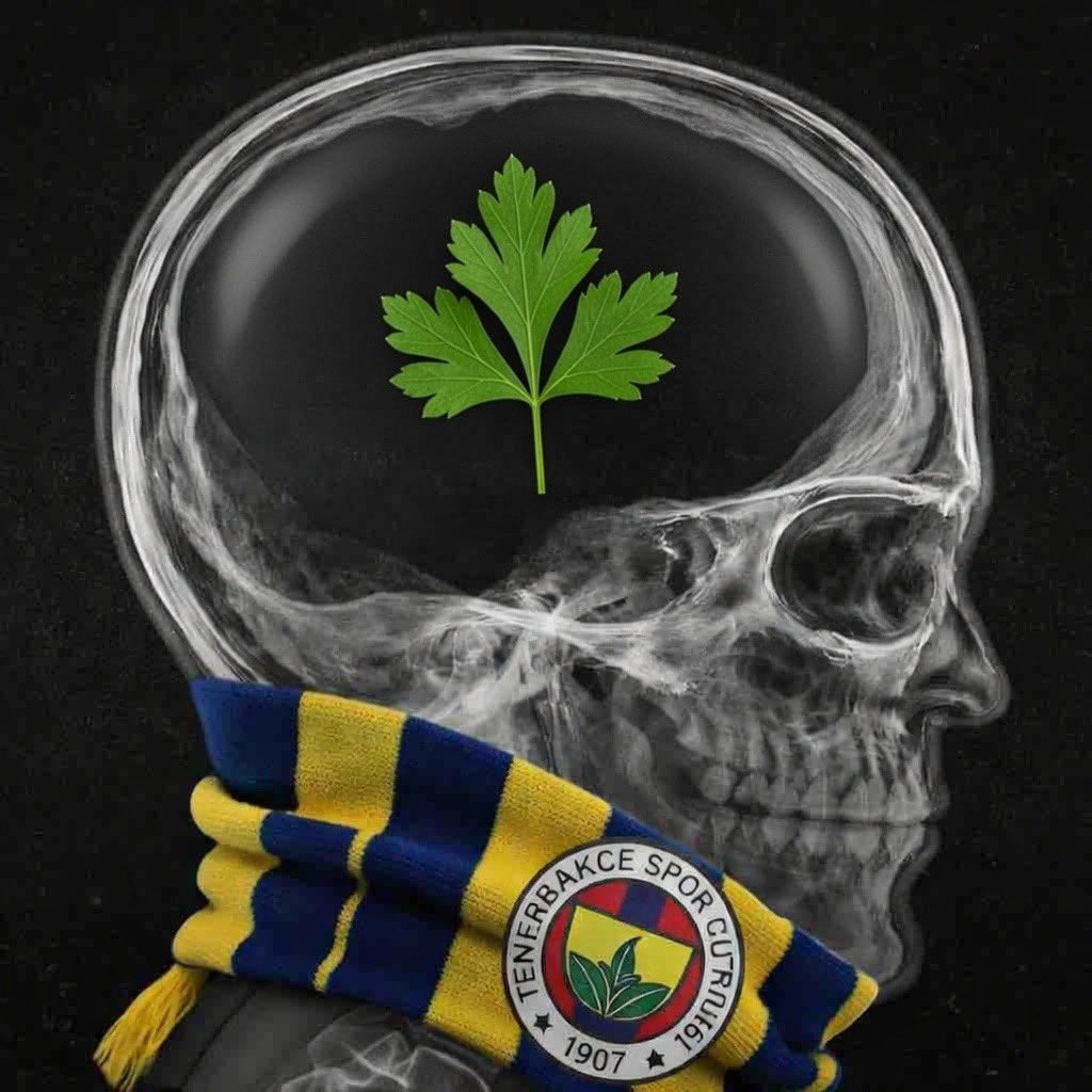 BINCEPTION tweet media