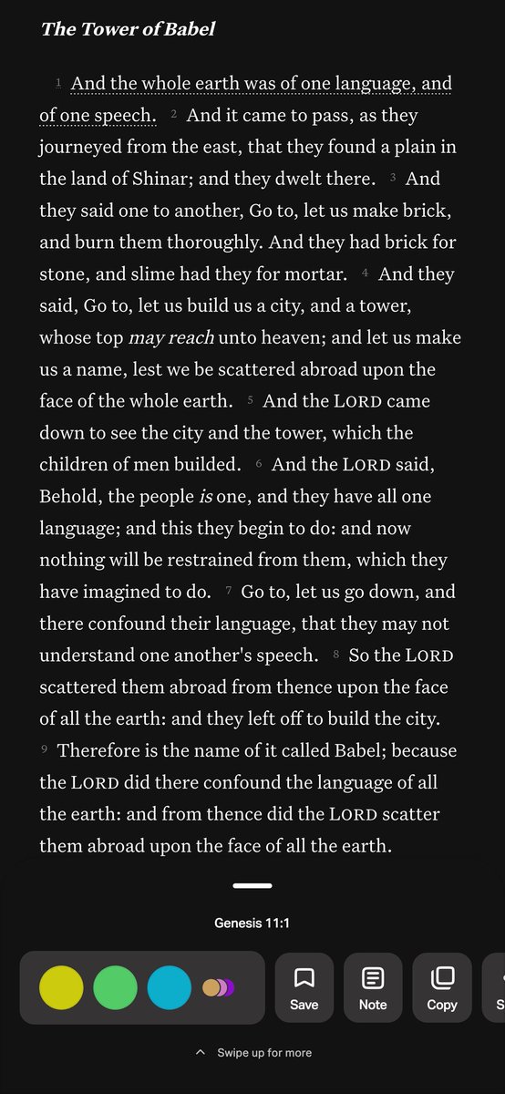 Kirikage tweet media