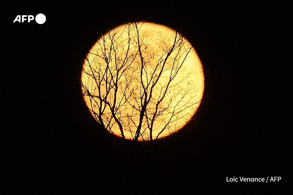 AFP News Agency tweet media