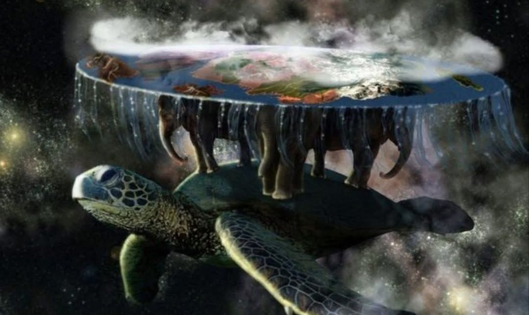 Olena Rohoza tweet media