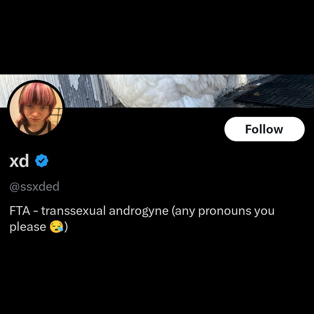 Reefer Franklin 🇻🇦|💎👐🏼4∞🚫🧢|💹🧲|🗿|🐾₿|🦄💨 tweet media