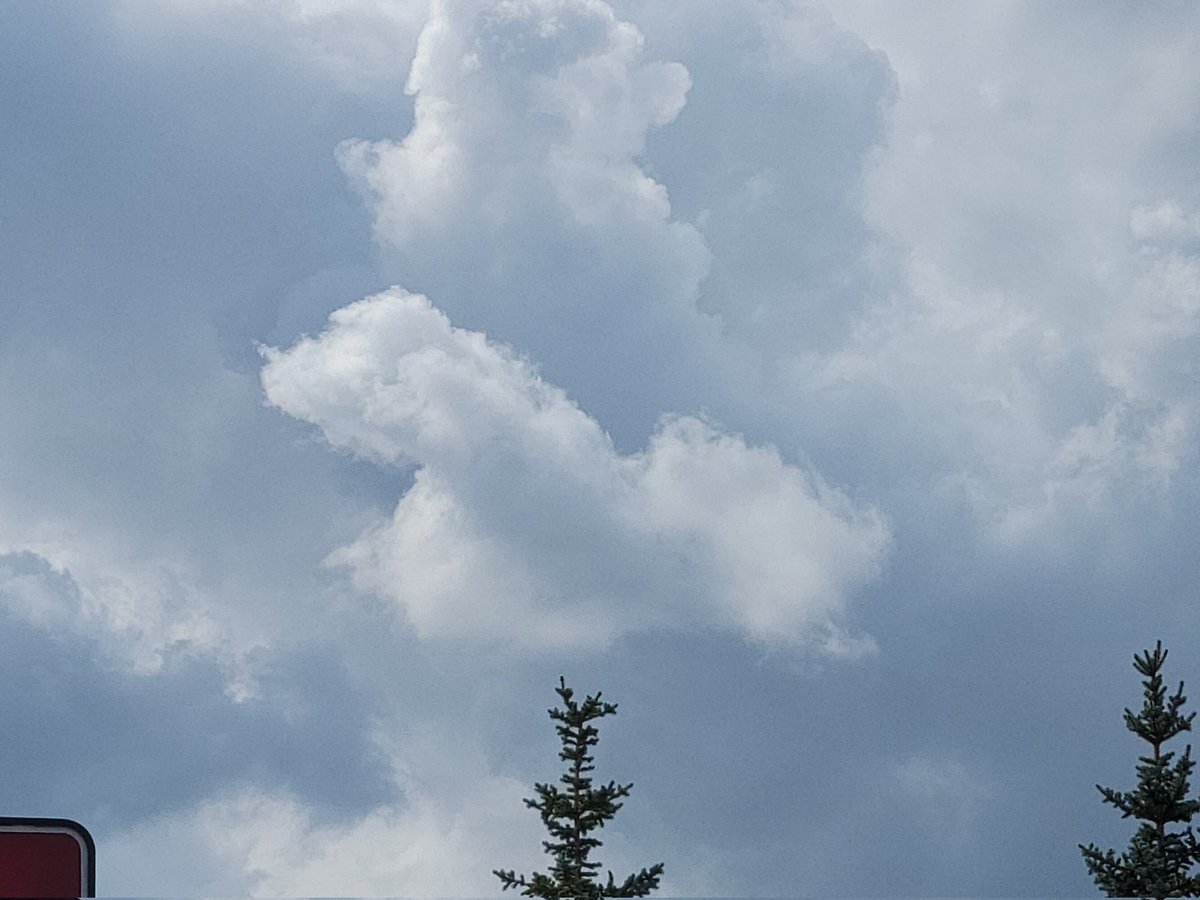 Mary ❤️ On My Sleeve ♡🇨🇦♡✍️📷🌹 tweet media