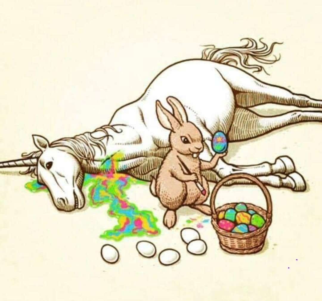 Peter Hann tweet media