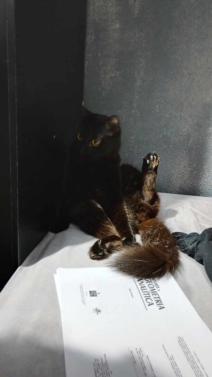 ๐ถ๐๐๐๐ข ๐๐๐๐๐๐๐ | VIU SOAD 08/05 โญ tweet media