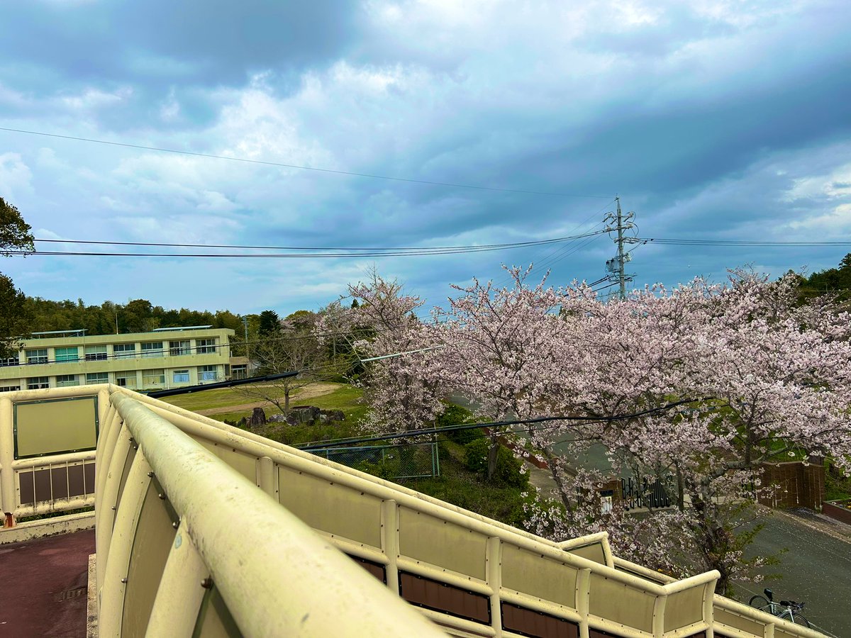 ろく@GT🫛 tweet media