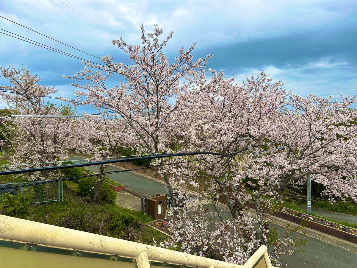 ろく@GT🫛 tweet media