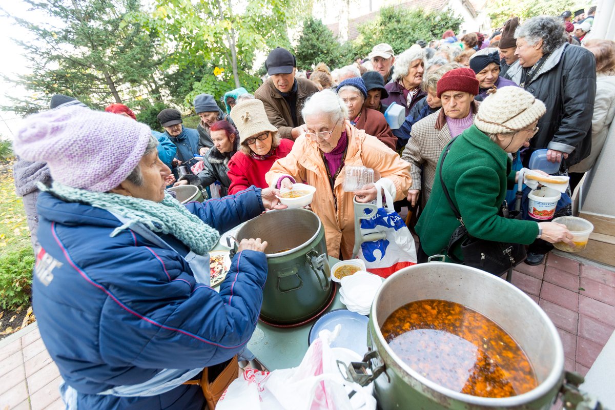 Our Country Our Choice tweet media