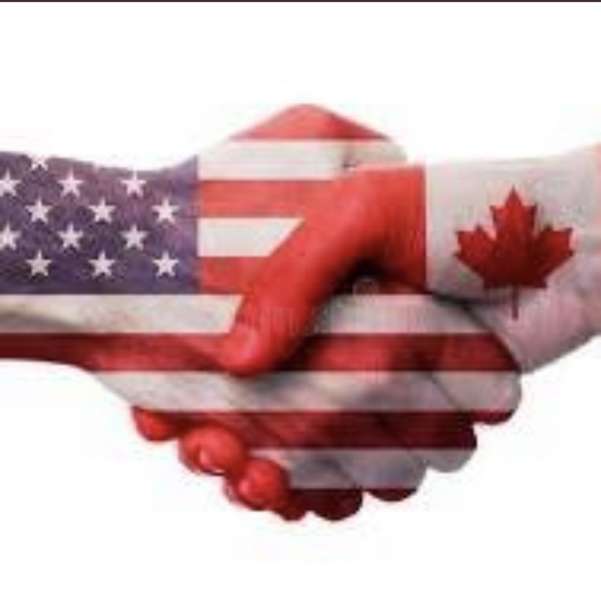 Mrs. B Conservative tweet media