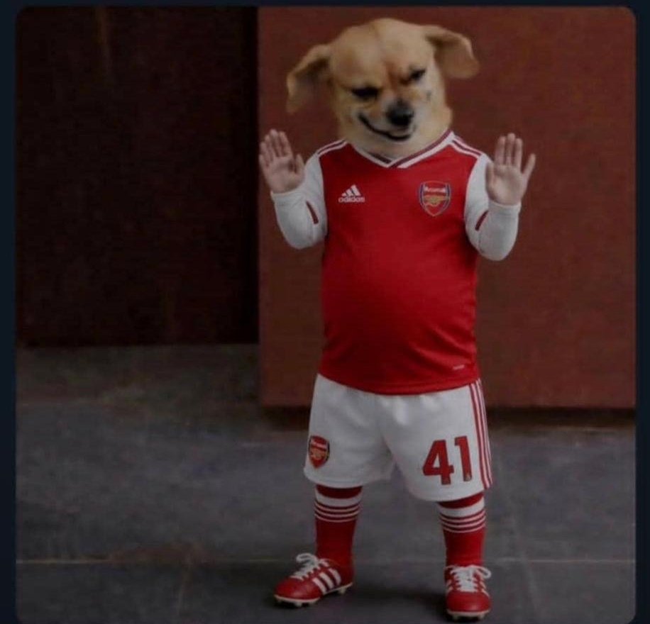 lobistar Assistant tweet media