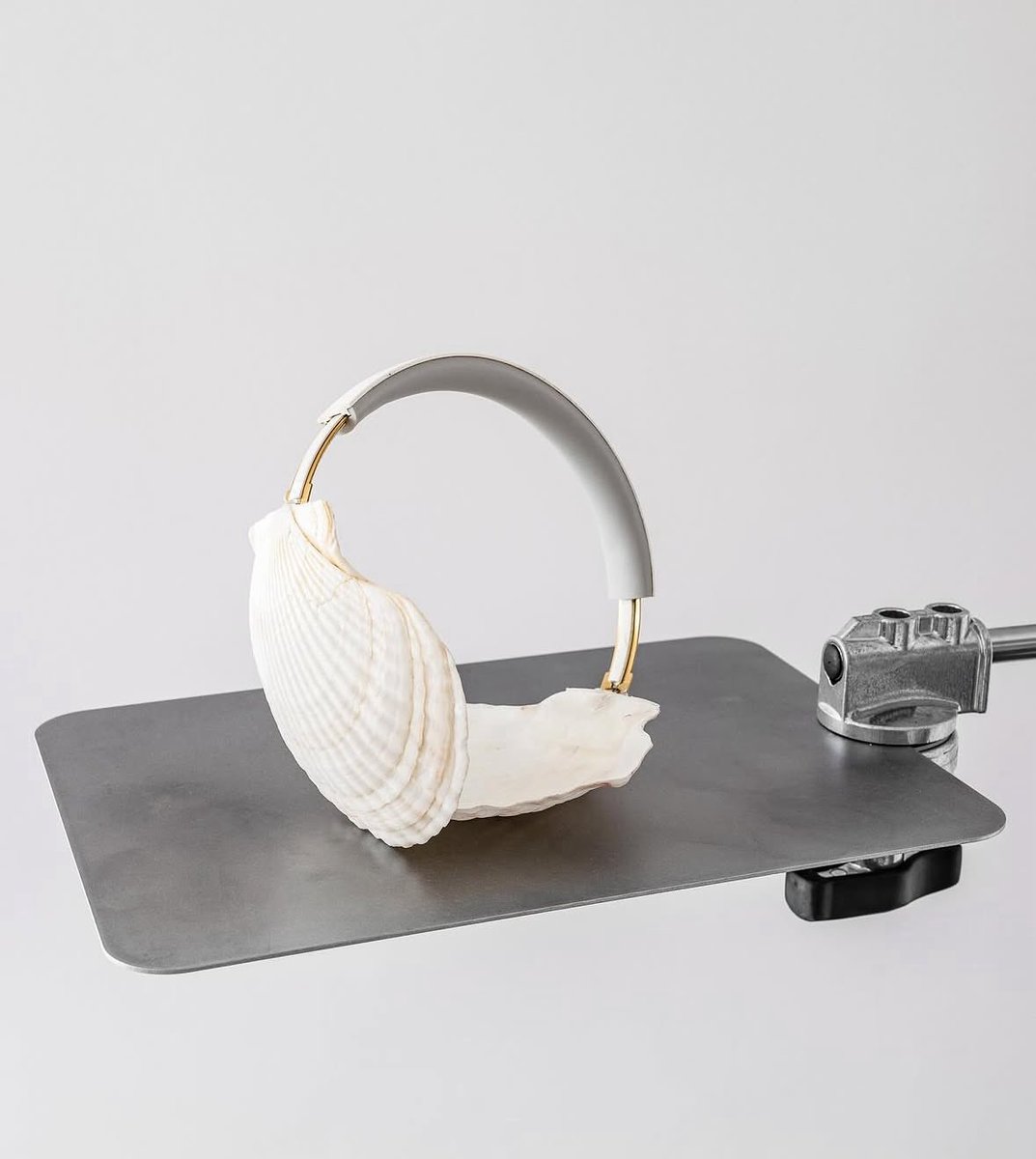 (Naleśnik) 🚩🔻🌻⚒️🥞 tweet media