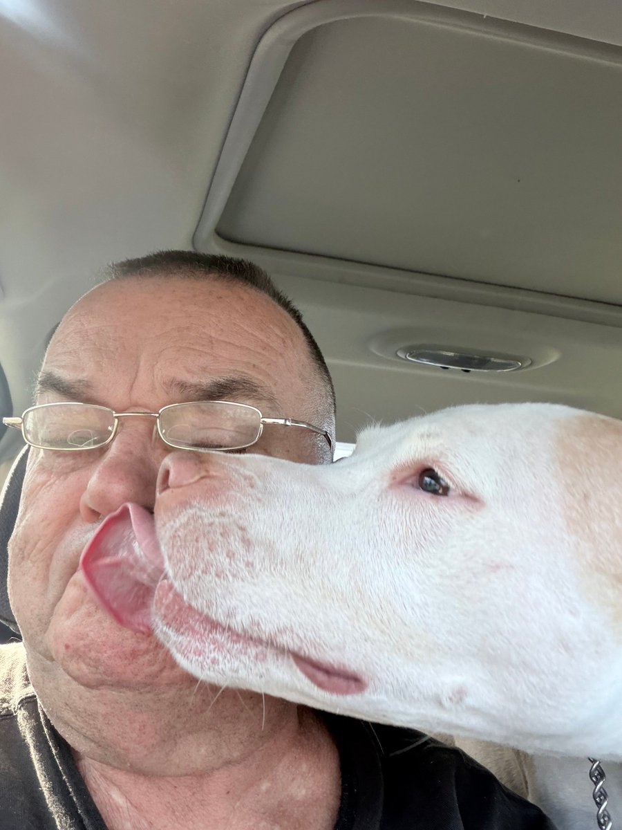 Daniel Lash tweet media