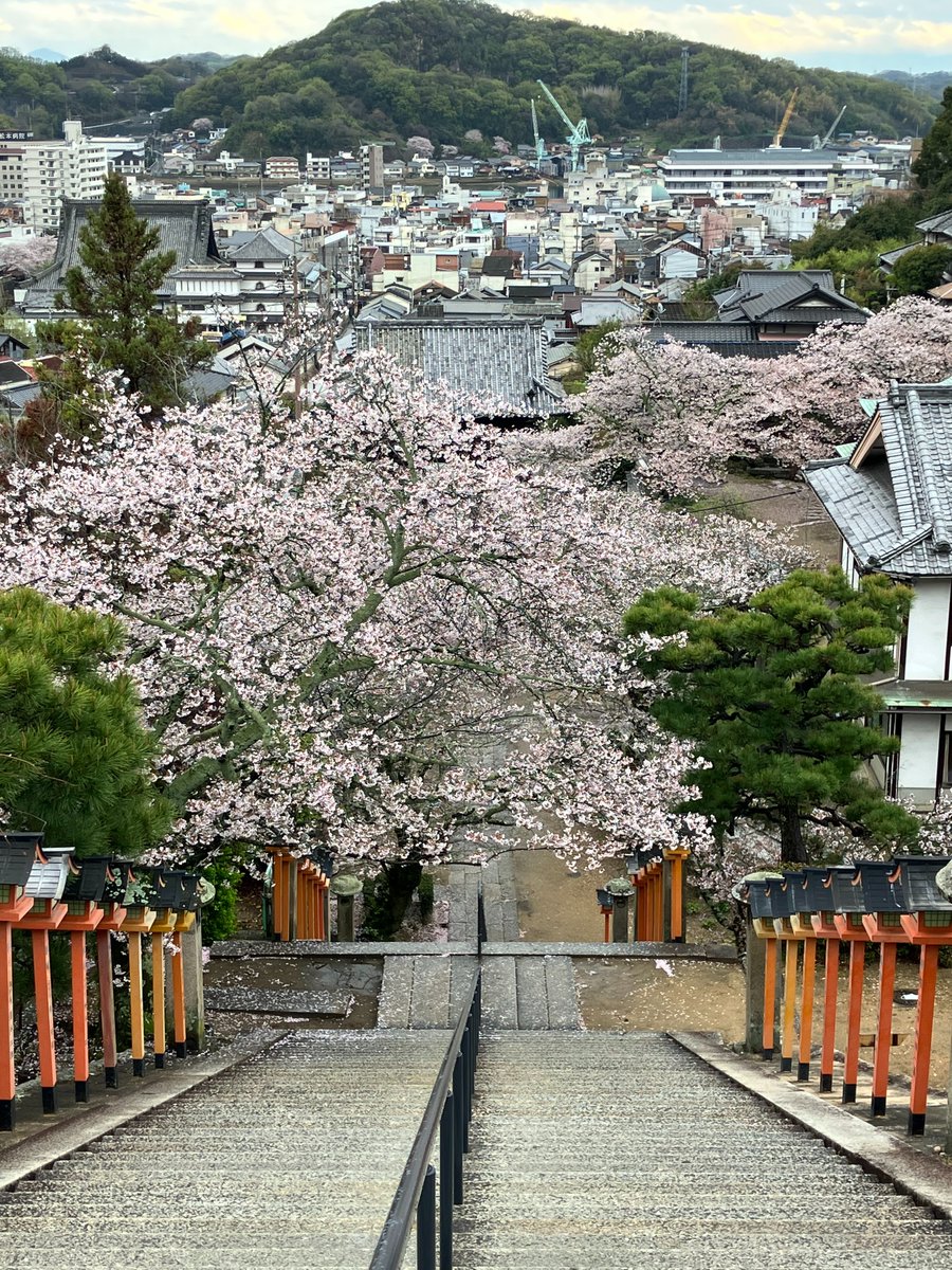 大音無形-SoundsWithNoBounds tweet media