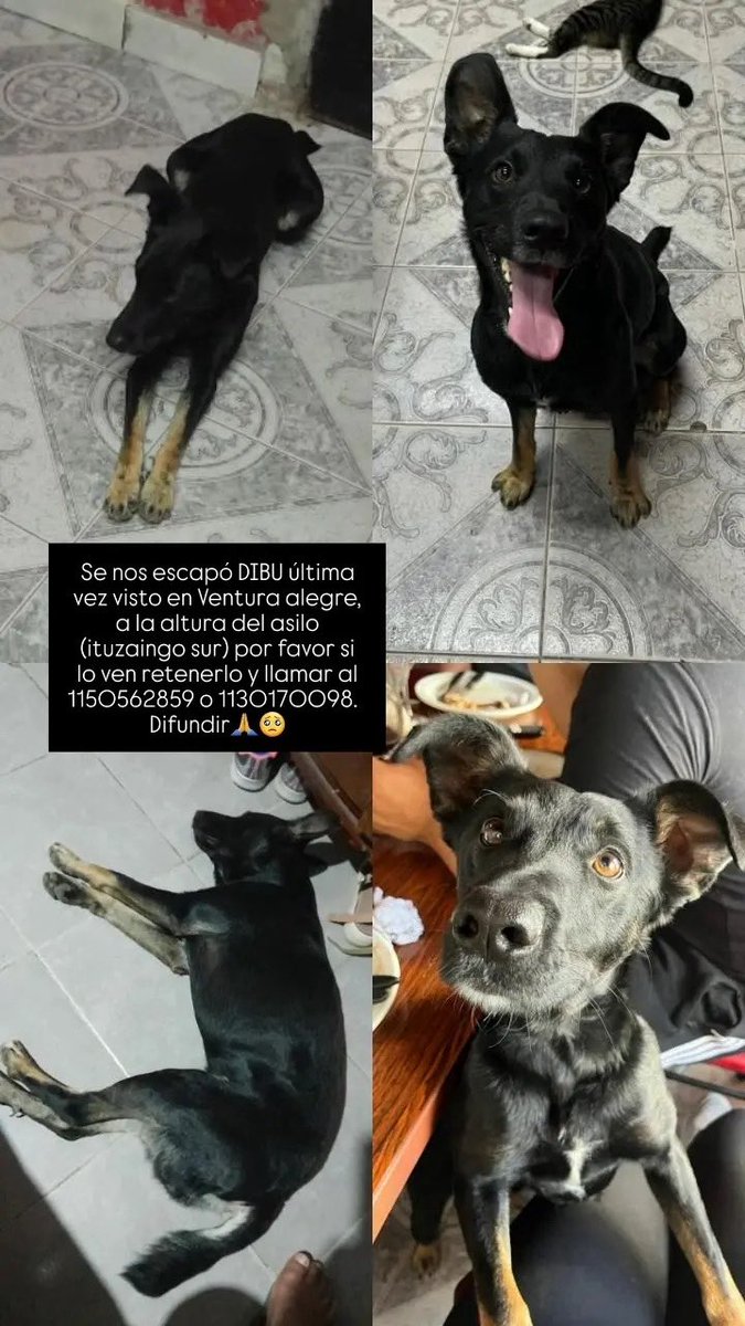 laura santa cruz tweet media