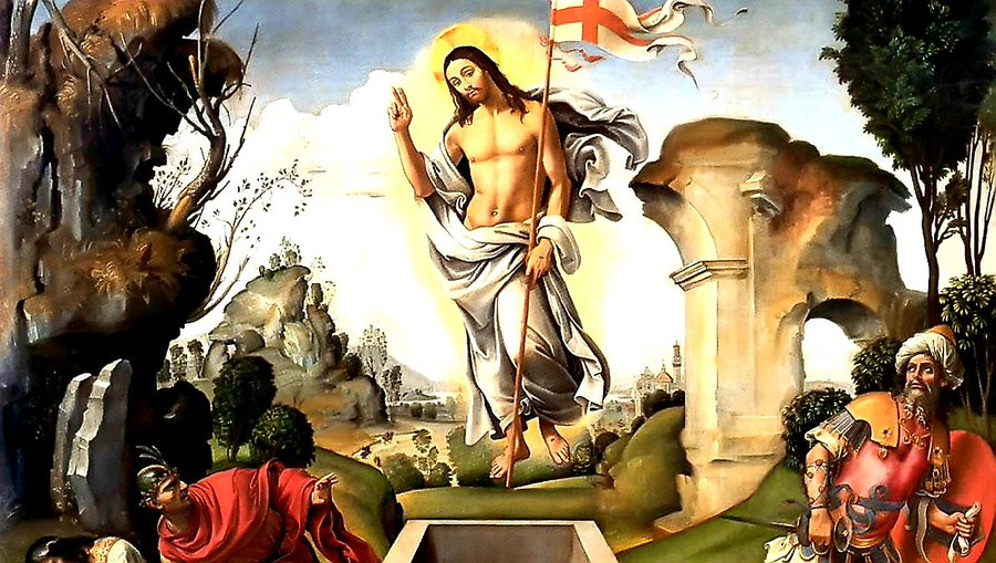 Javier Rojas tweet media