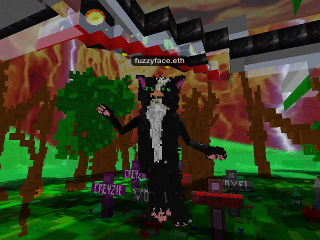 D.C.O.T. tweet media