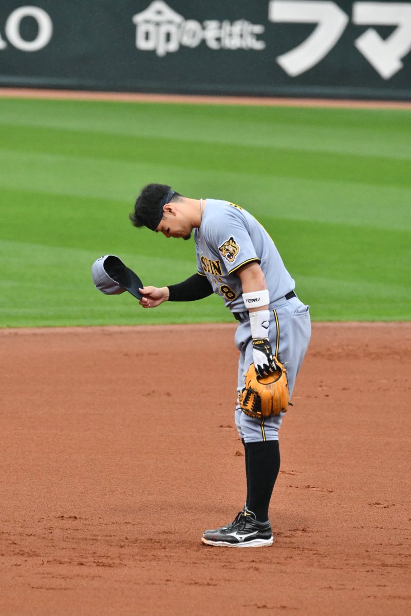 🧸💚 tweet media