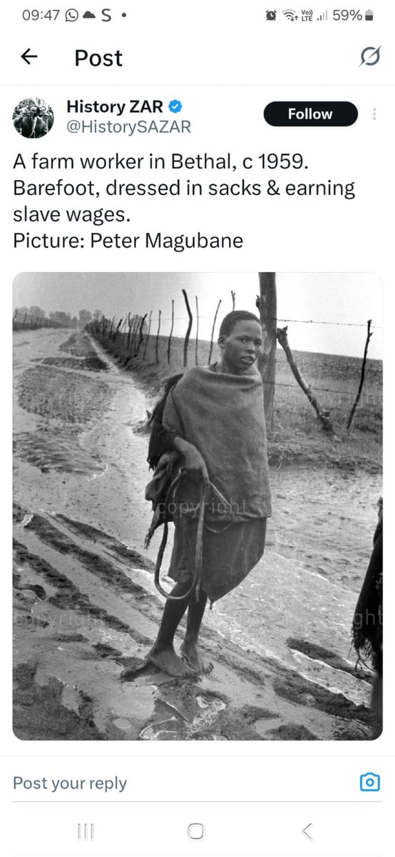 Radical_Nas tweet media