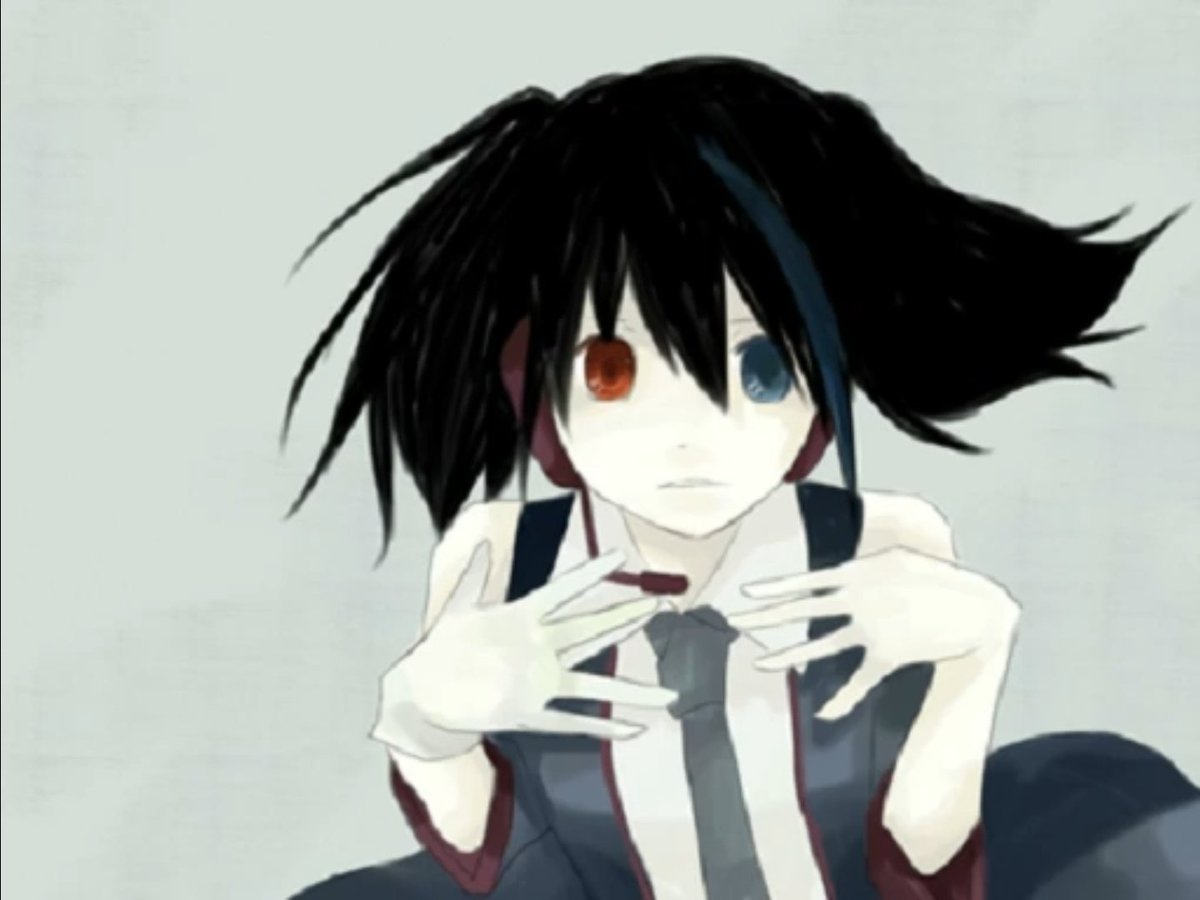 Dutch Chimera tweet media