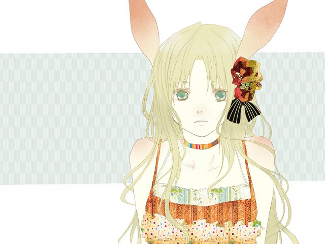 Dutch Chimera tweet media