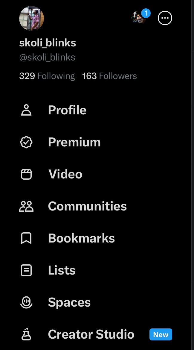 skoli_blinks tweet media