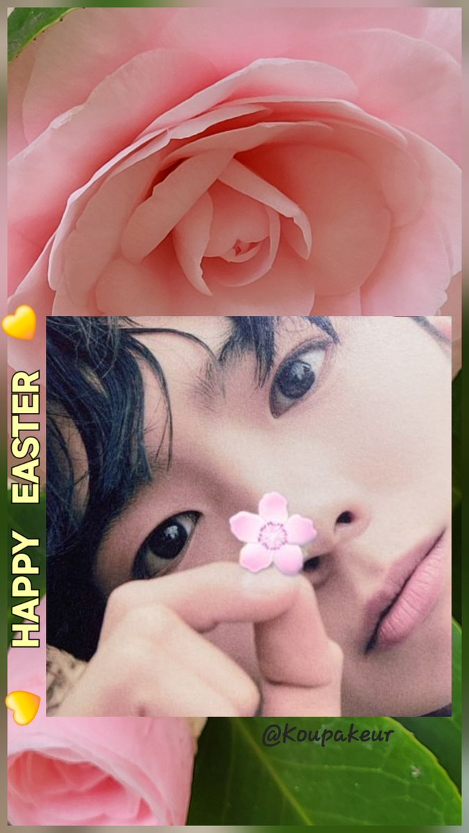 Francine B.💙🤍❤️🇫🇷 tweet media