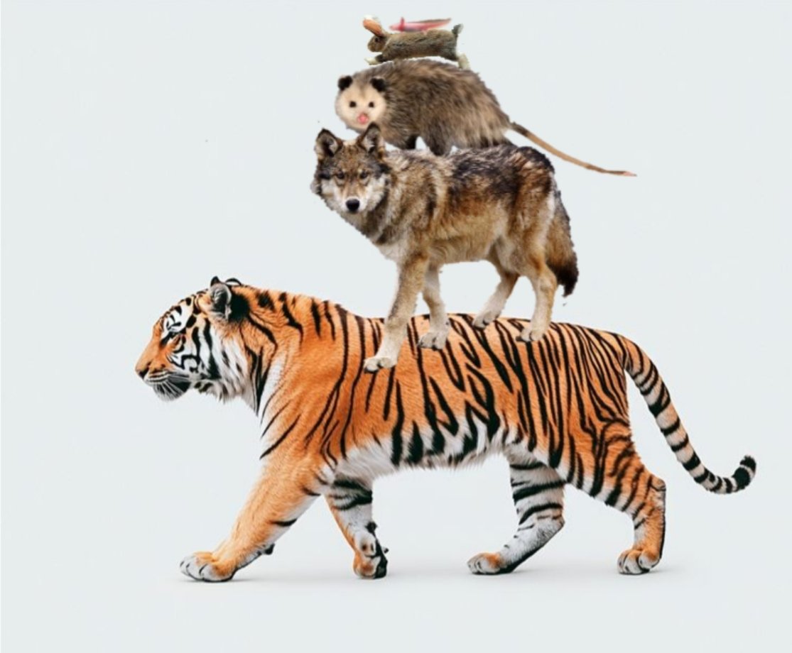 ☆Kₒᵤ𝘴ᵤ𝐩ₑᵢ🦦☆ tweet media