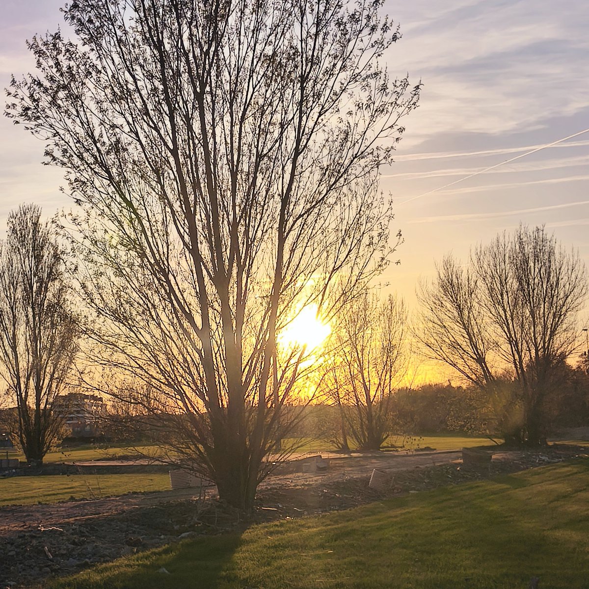 manzanilla tweet media