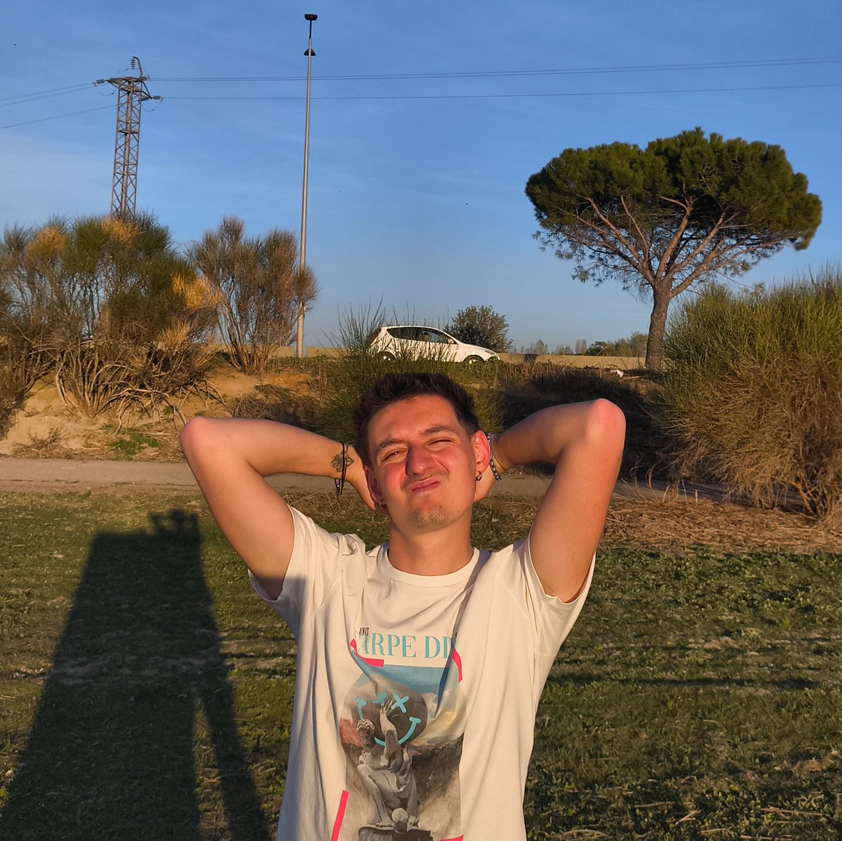 manzanilla tweet media