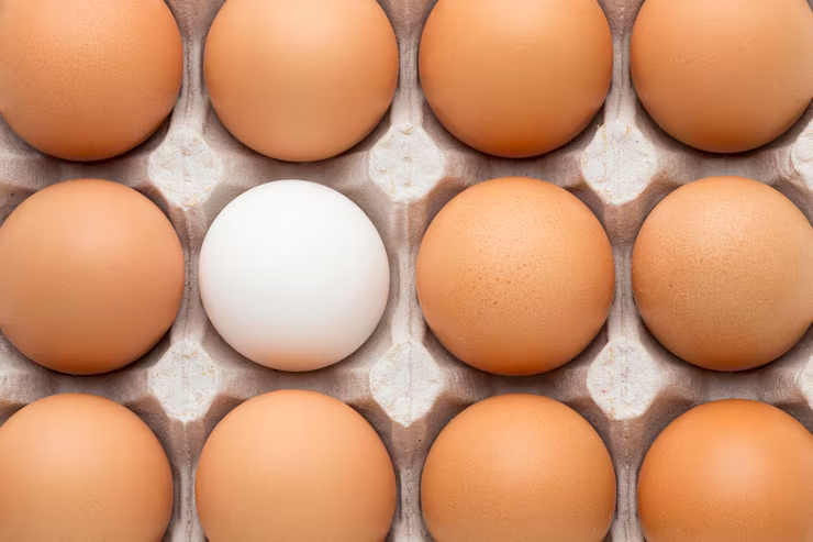 José Tiul tweet media