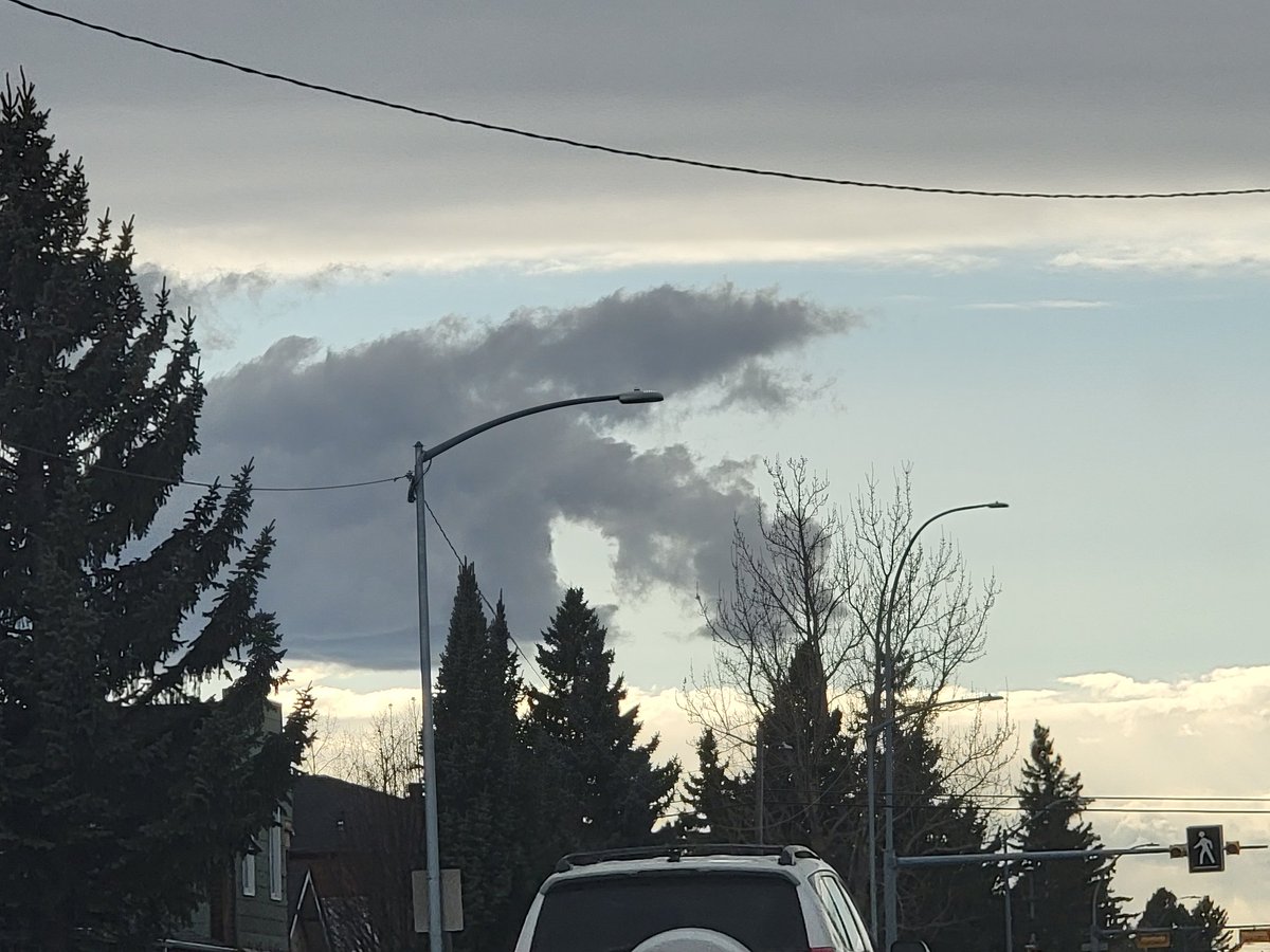 Mary ❤️ On My Sleeve ♡🇨🇦♡✍️📷🌹 tweet media