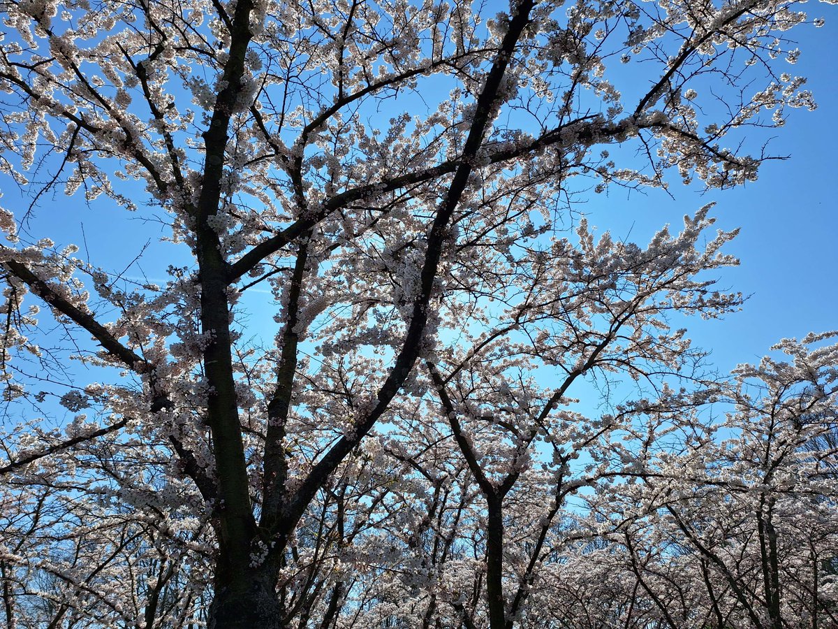_WishStone_'s tweet photo. It was soothing. https://t.co/PGOJxbD6wF