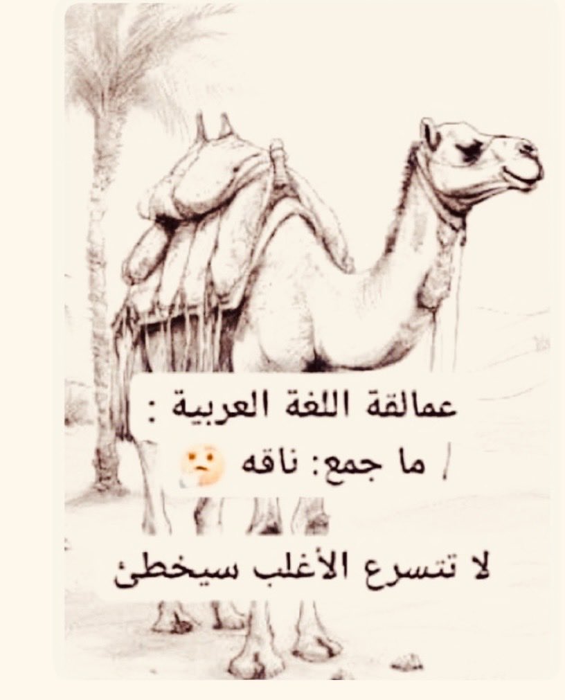 سعود tweet media