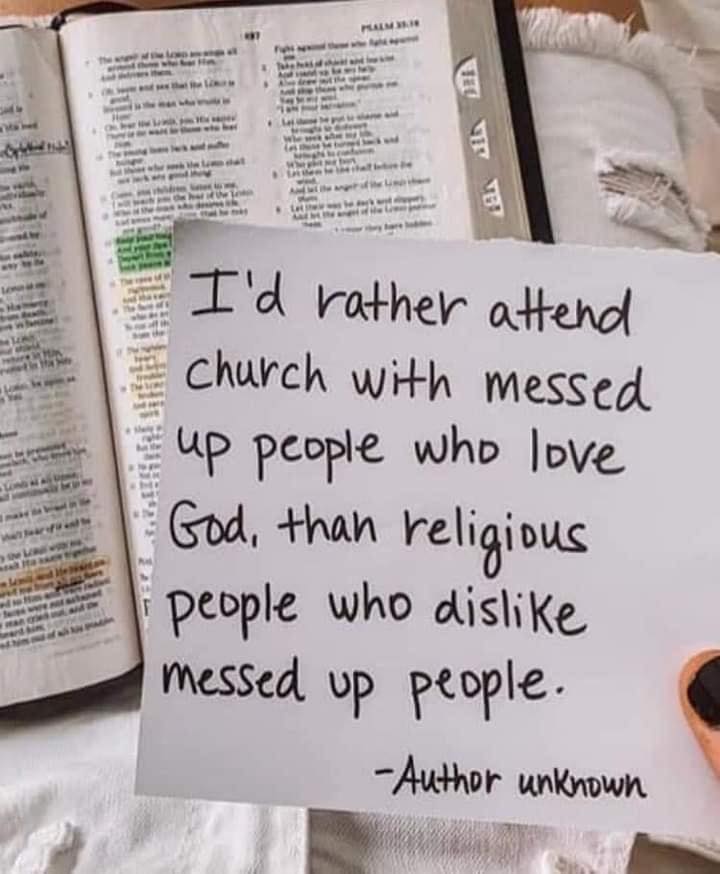 Seraphah - החתול של אלוהים / Dei Kattus tweet media