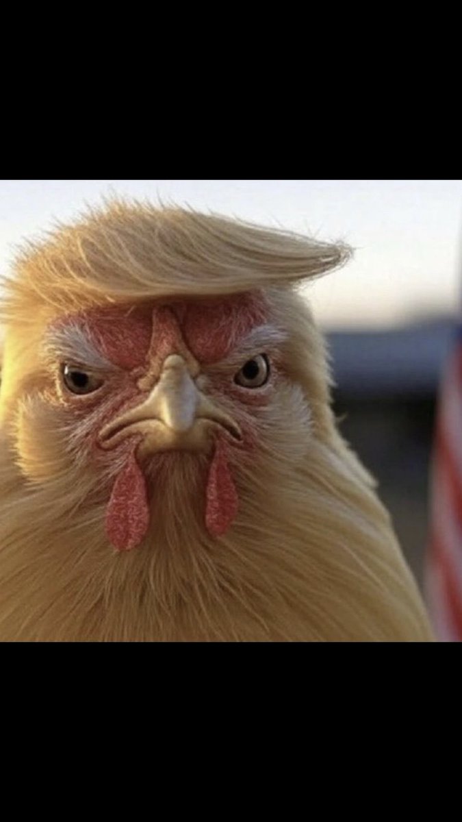 Manko.m. tweet media