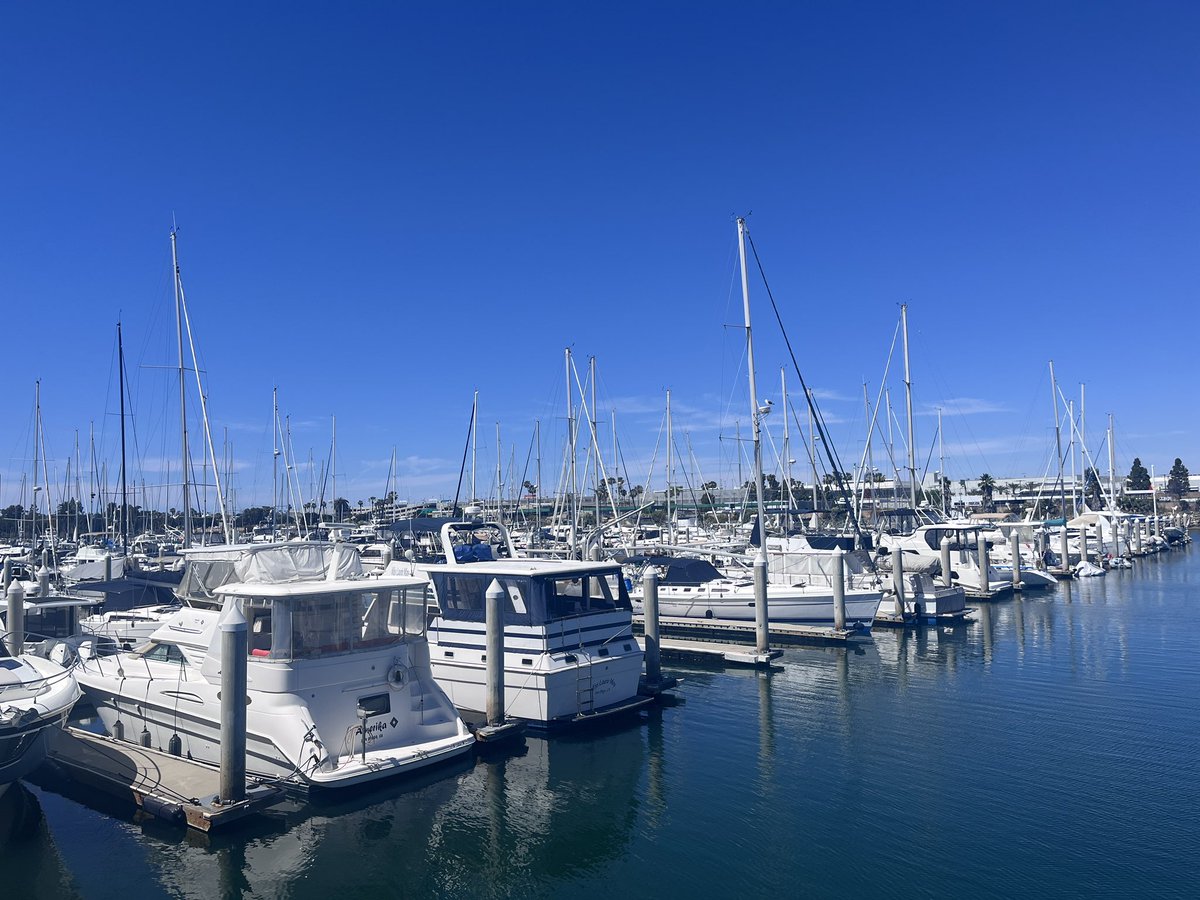 Sunshine tweet media