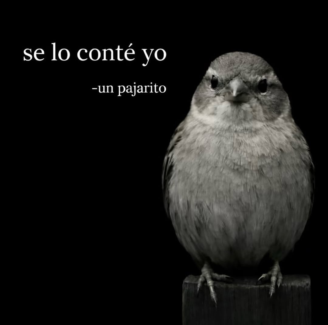 Yenni🦋 tweet media