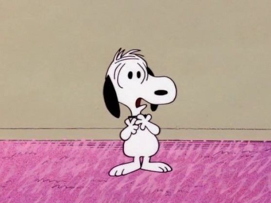 Bird's BXB thinker season🍉 tweet media