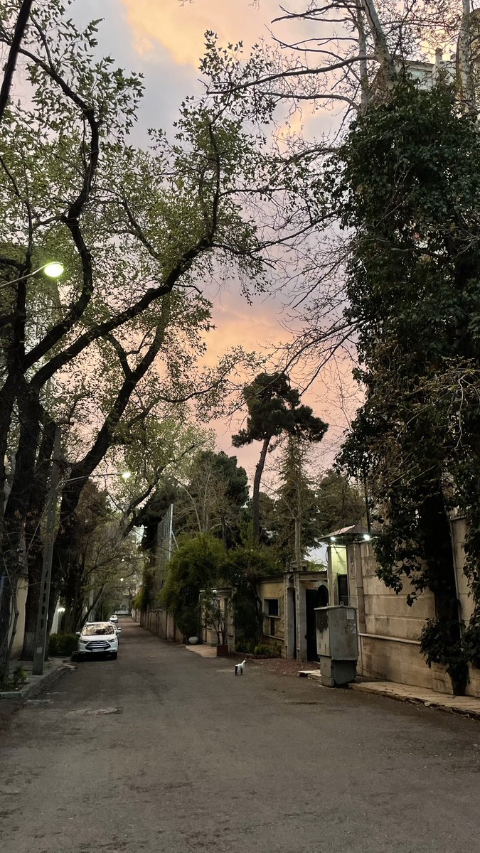 ری را🪭 tweet media