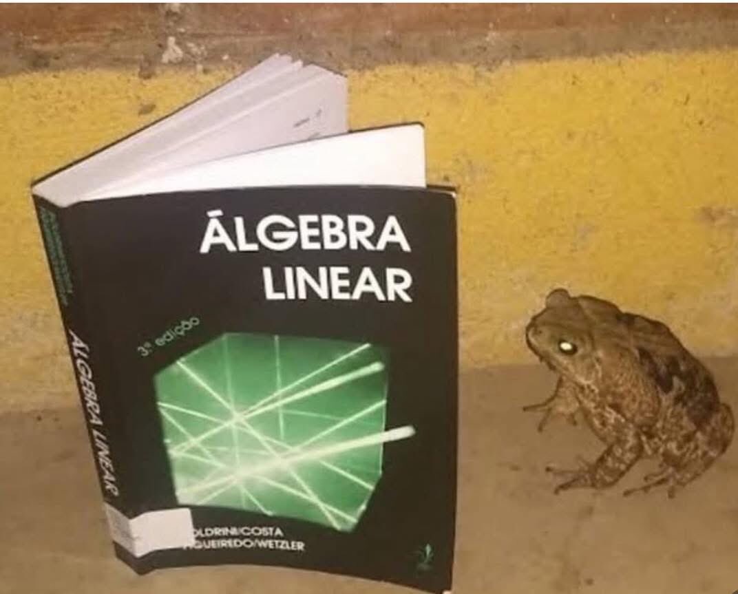 Lucario sans 18 🇪🇦 tweet media