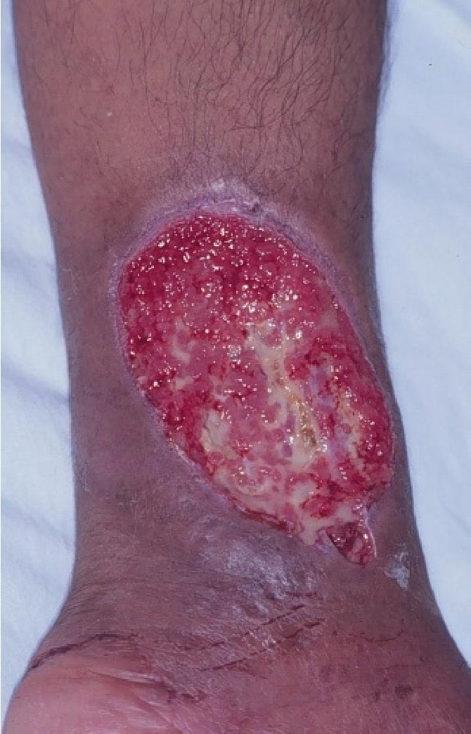 Dr.Haitham Hamoud | د.هيثم tweet media