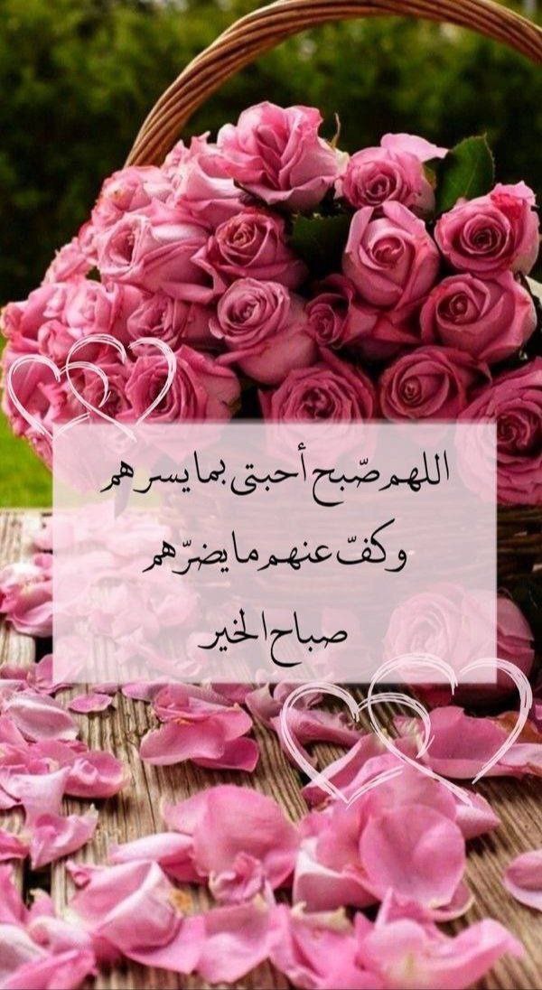 وُيَٻقٌى آلُآمْلُ ‏𓃗 tweet media