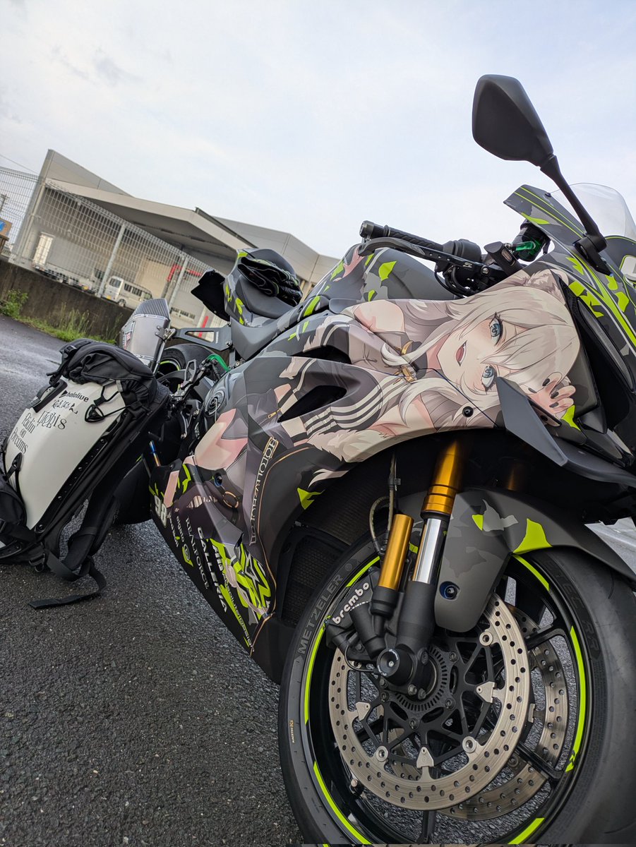 mokotaro♌🐾⚙️ tweet media