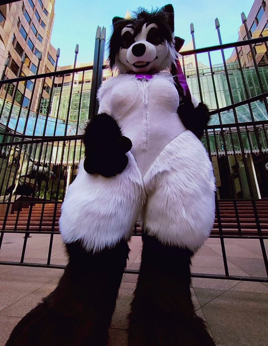 💜Foxyvix💜 tweet media