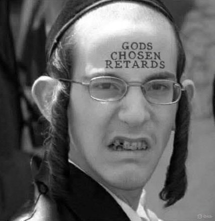 The🏴Goyim Defence League 👃 tweet media