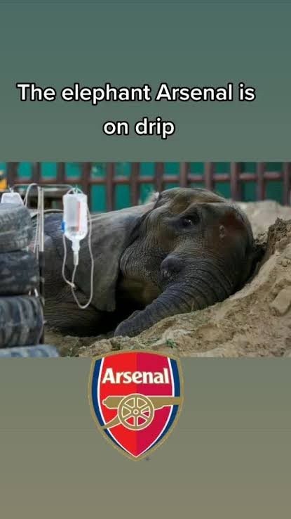 NEEDLE 📌MOVER tweet media