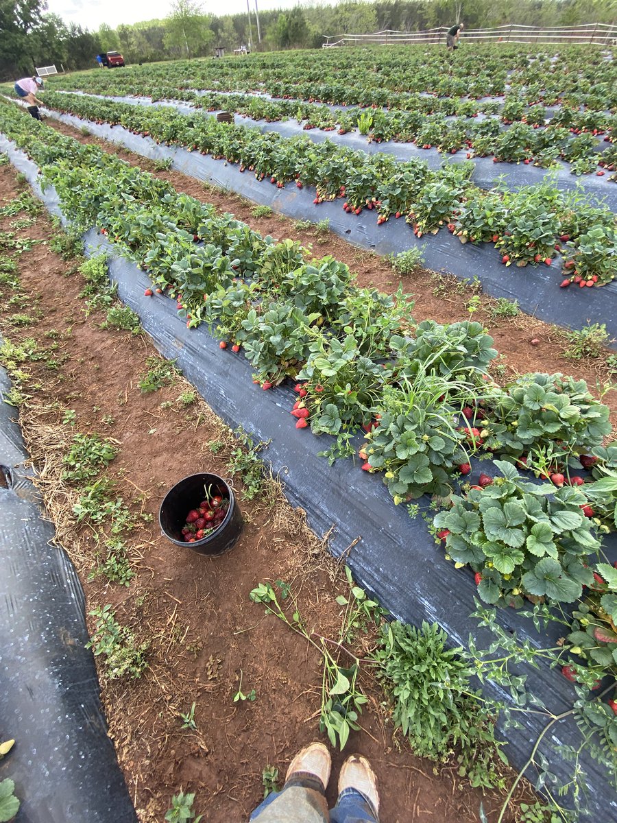 jochan !! ʚɞ ⁺˖ ⸝⸝ tweet media