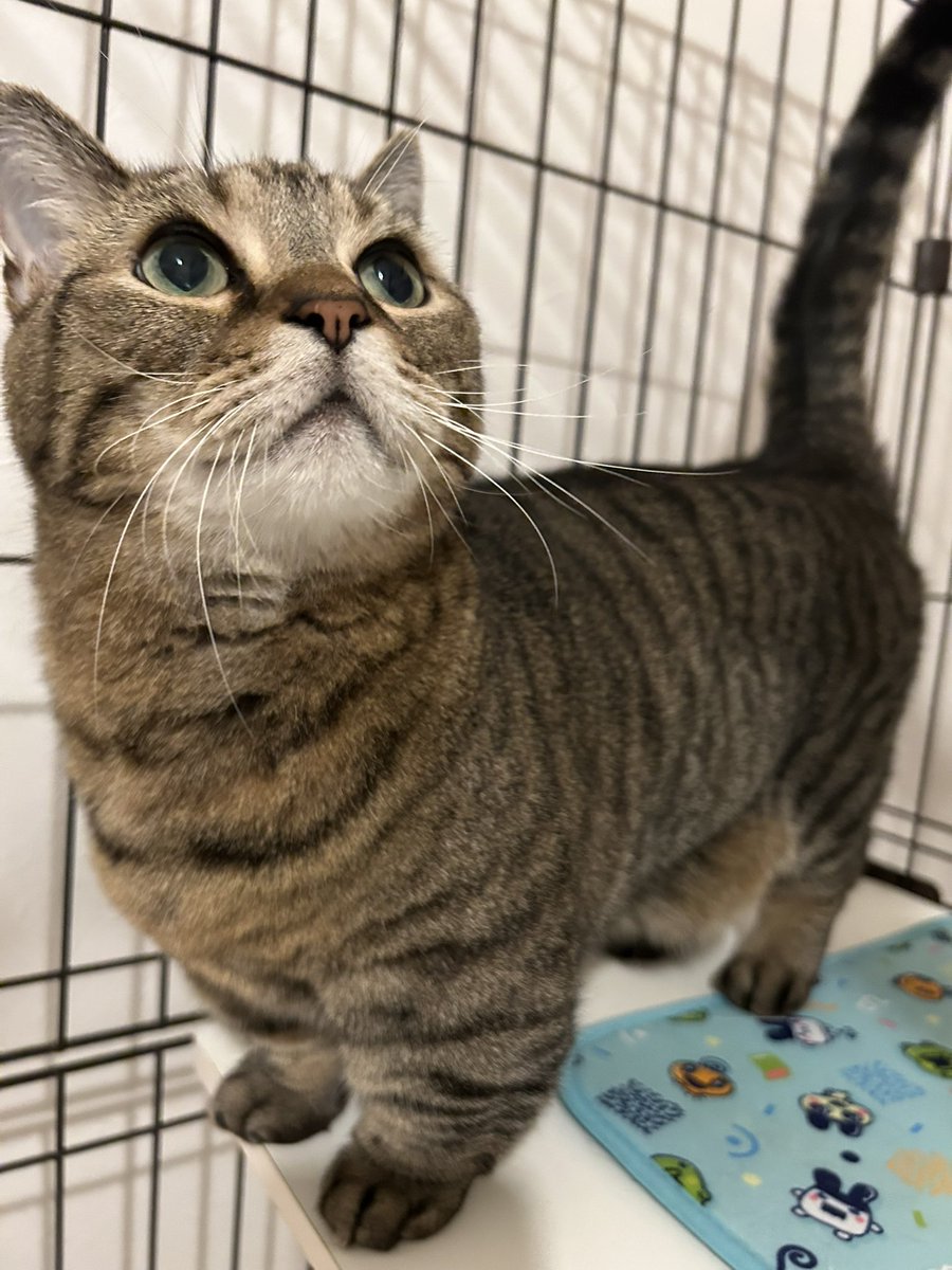 みとか⟭⟬ ⁷ ⟬⟭ ᴬᴿᴵᴿᴬᴺᴳ tweet media