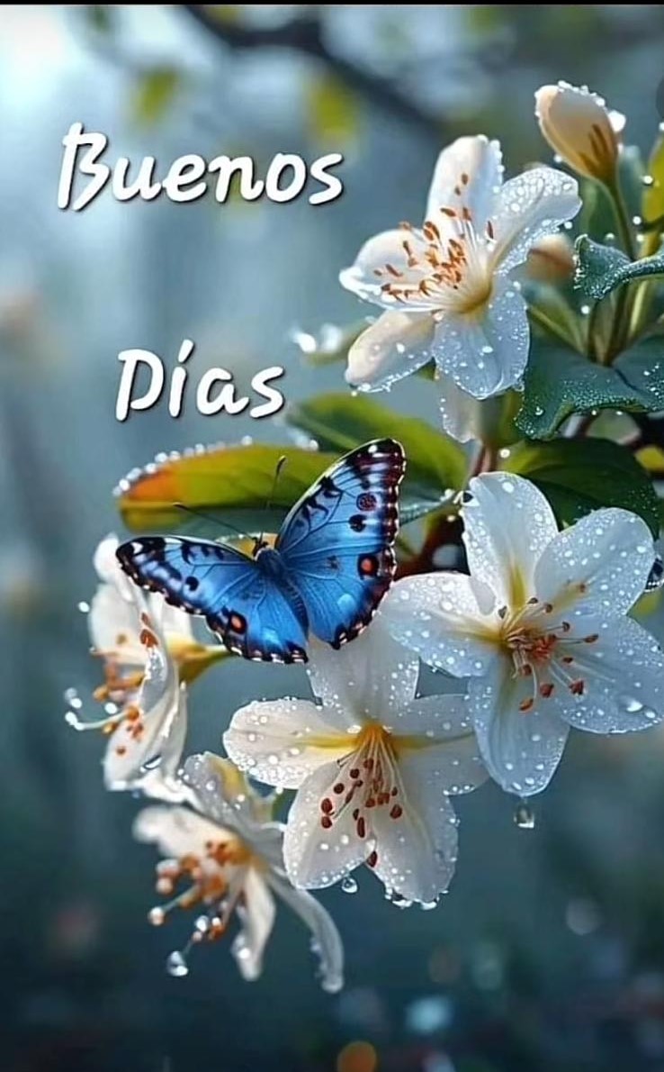 José María tweet media