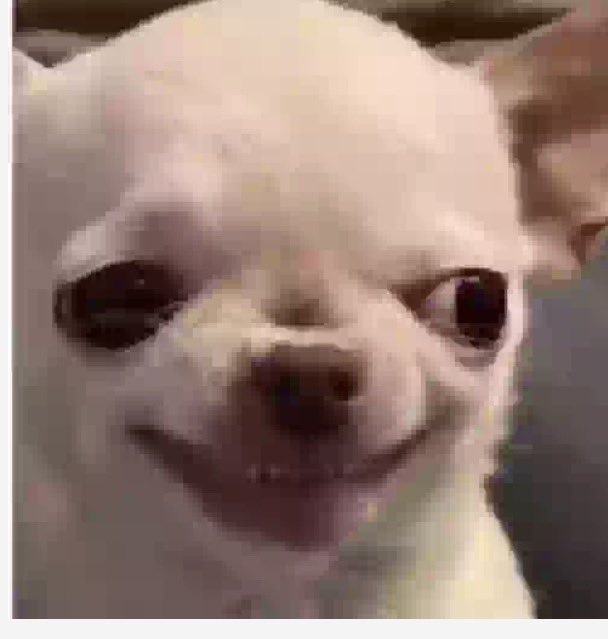 X LAWyer tweet media